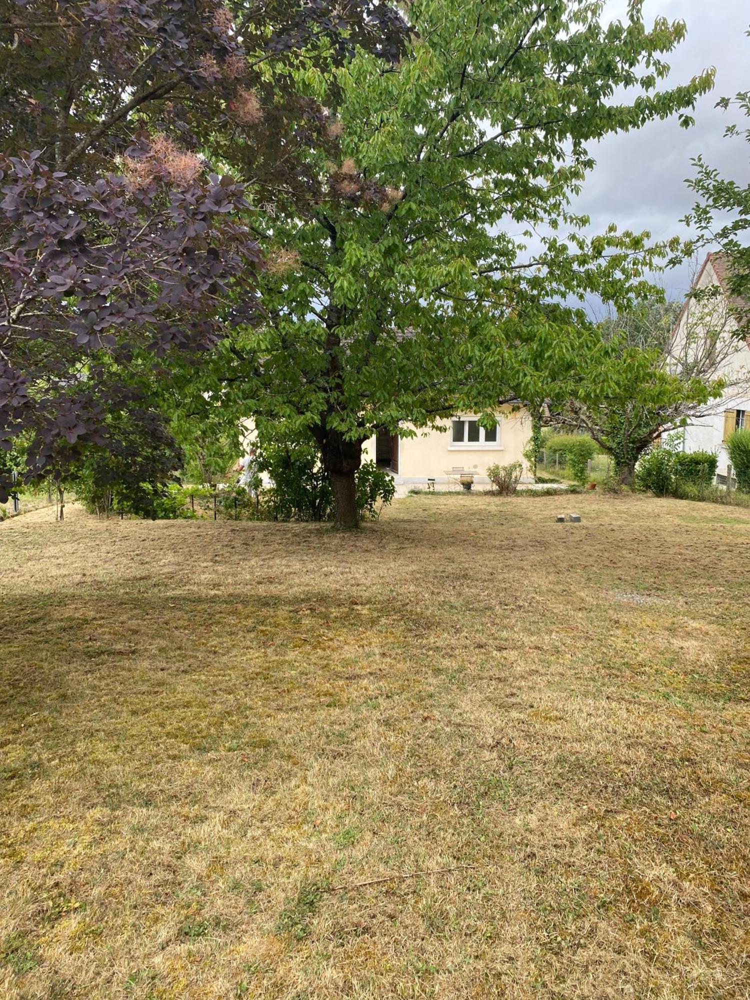 Au Calme - Maison Avec Grand Jardin - Proche Zoo De Beauval Vicq-sur-Nahon Exterior foto
